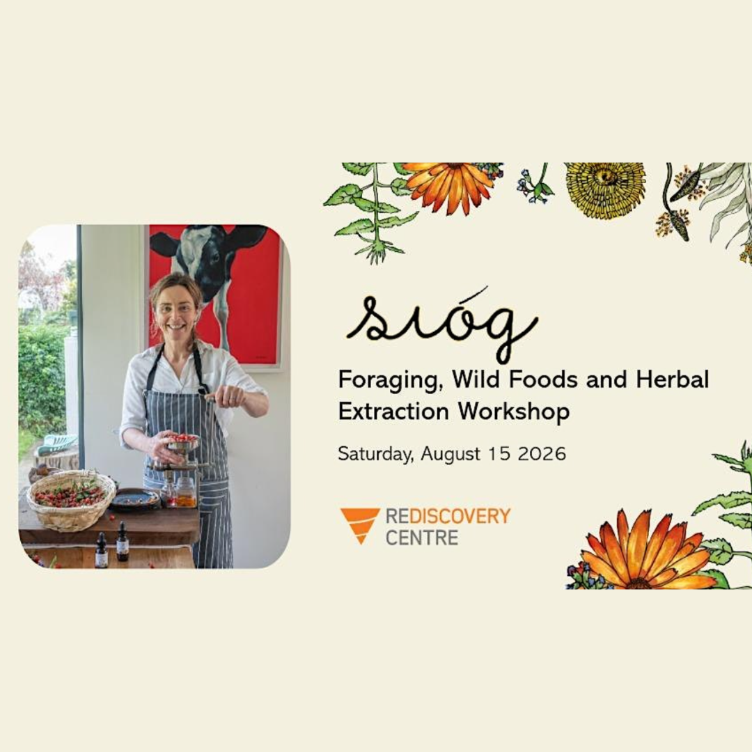 Foraging and Herbal Extraction Workshop