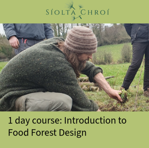 Introduction to Food Forest Design